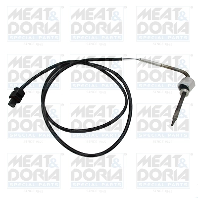 Sensor, exhaust gas temperature